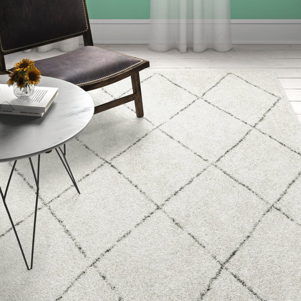 Etta Avenue Elsa Shaggy White/Charcoal Black Area Rug & Reviews Wayfair.co.uk